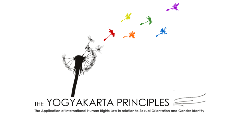 The Yogyakarta Principles official site